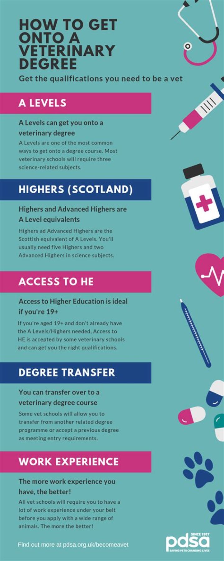 What qualifications do you need to be a vet?