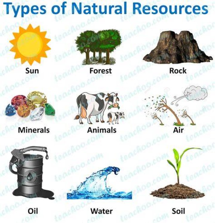What refers to the natural resources used in production?