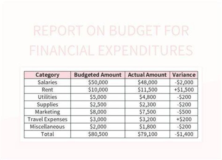 What types of data need to be included in financial budget?