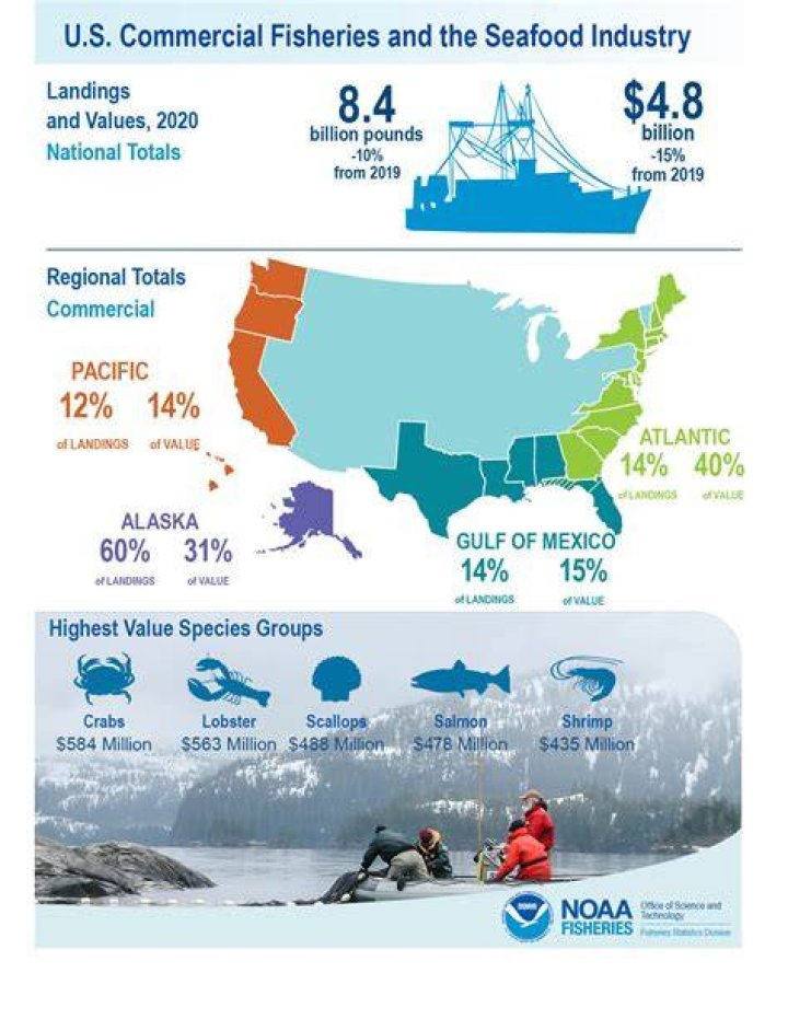 Which state has the biggest seafood fishing industry?