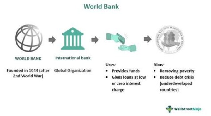 Who is the World Bank owned by?