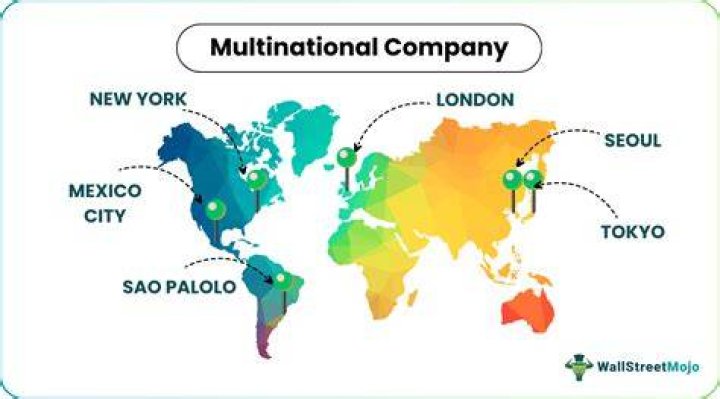 Why are multinational companies good?